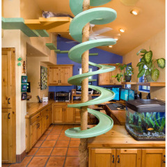 Real Cat Lovers Turn Their Homes into Cat Playlands