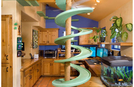 Real Cat Lovers Turn Their Homes into Cat Playlands