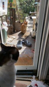 ZACK AND ORNJI LOOKING AT EACH OTHER THRU SCREEN DOOR