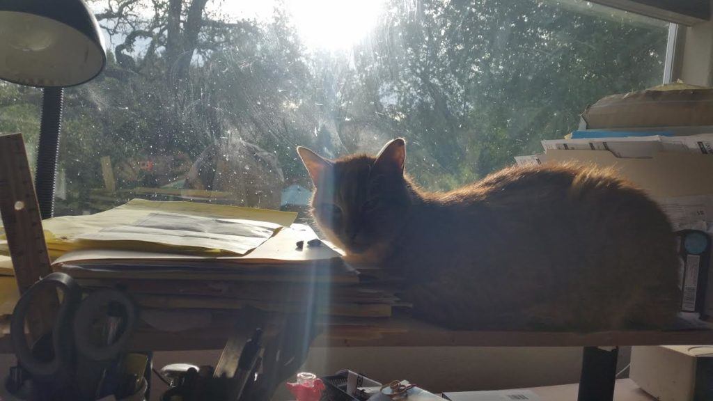 orangi-good-on-desk-against-yard-and-sunsky-backdrop